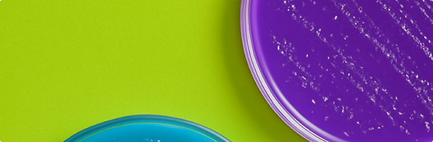 Категории тестов Выберите нужный  параметр